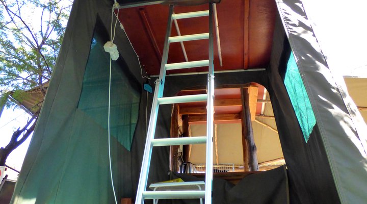 Thorn Tree Bush Camp - Accommodation