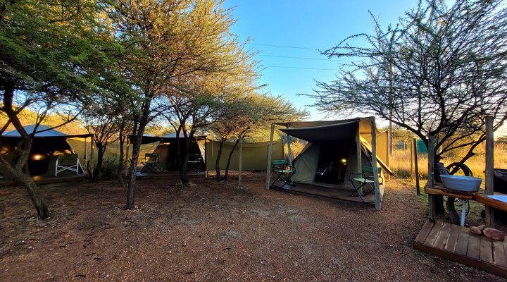 Thorn Tree Bush Camp - Accommodation