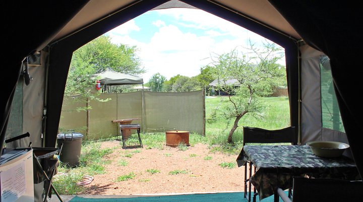 Thorn Tree Bush Camp - Accommodation
