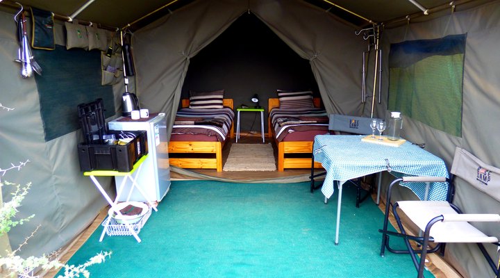 Thorn Tree Bush Camp - Accommodation