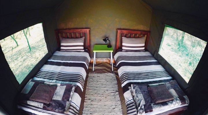 Thorn Tree Bush Camp - Accommodation