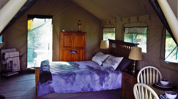 Thorn Tree Bush Camp - Accommodation