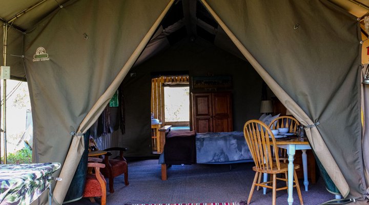 Thorn Tree Bush Camp - Accommodation