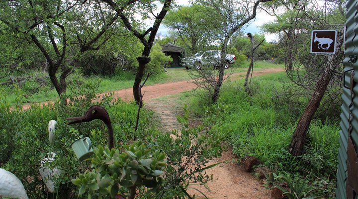 Thorn Tree Bush Camp - Accommodation