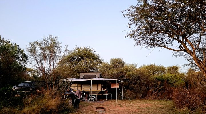 Thorn Tree Bush Camp - Accommodation