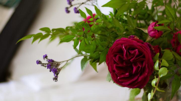 Rozenburg Guest House