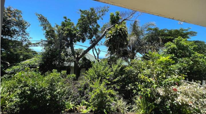 Harcourts Dolphin Coast