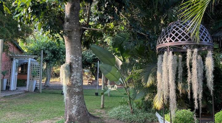 Loerieroep at Nelspruit