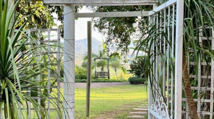 Loerieroep at Nelspruit