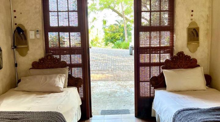 Loerieroep at Nelspruit