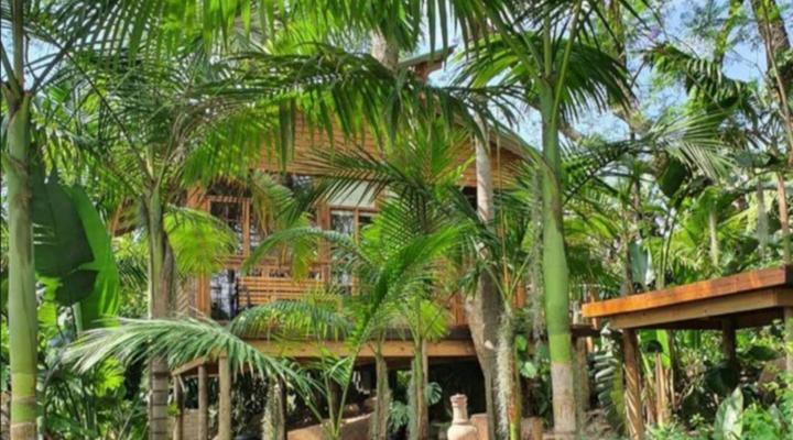 Loerieroep at Nelspruit