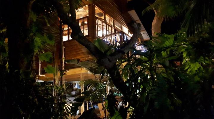 Loerieroep at Nelspruit