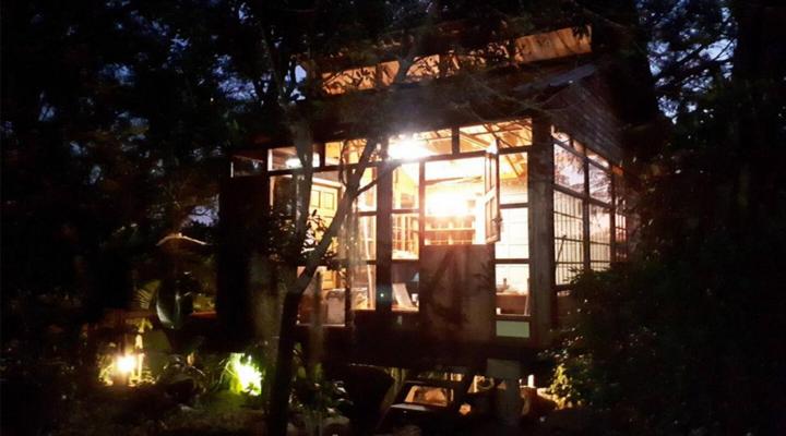 Loerieroep at Nelspruit