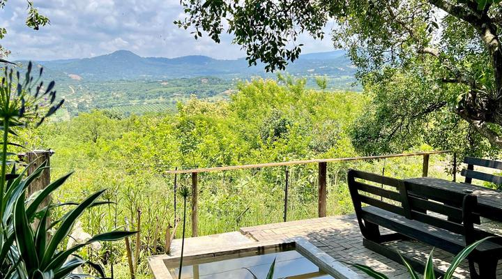 Loerieroep at Nelspruit