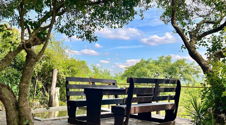 Loerieroep at Nelspruit