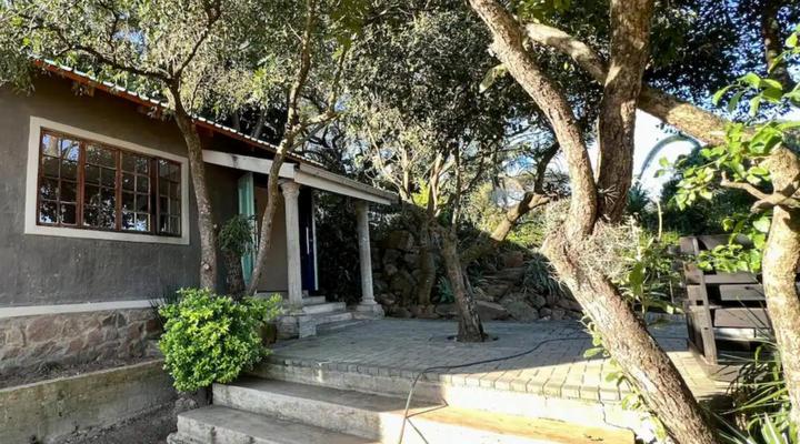 Loerieroep at Nelspruit