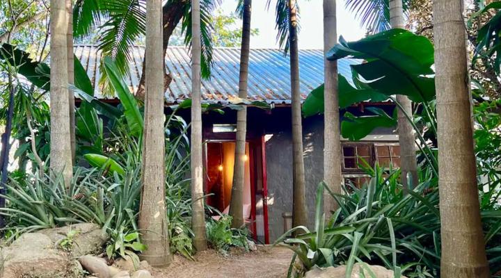 Loerieroep at Nelspruit