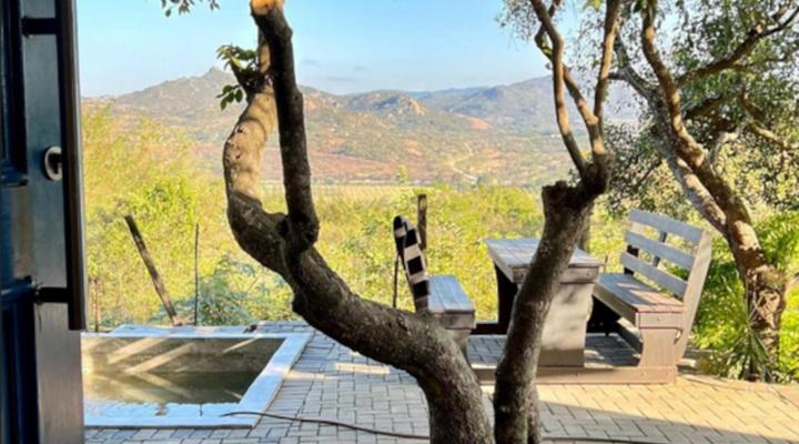 Loerieroep at Nelspruit