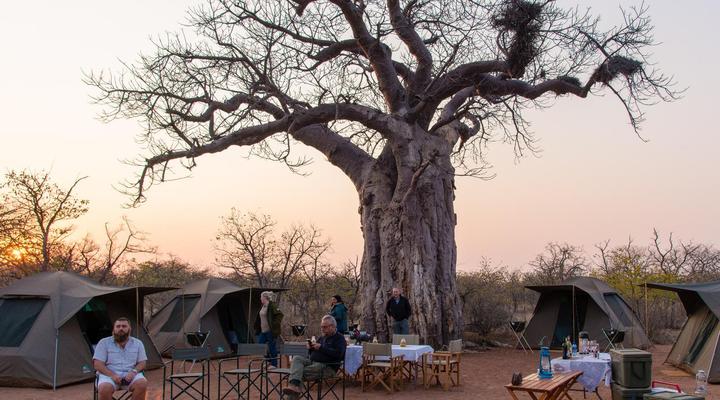 Mopane Bush Lodge