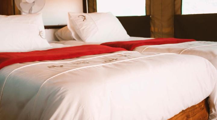 Hakusembe Camping2Go Gondwana Collection