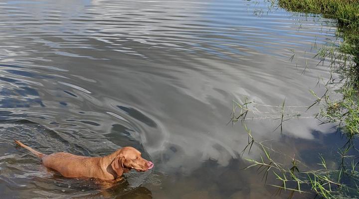 Merwenstein Guest Farm