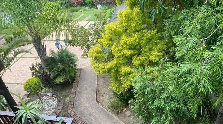 The Thatch Guest House