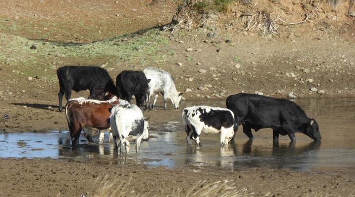 Hidden Karoo Cottage