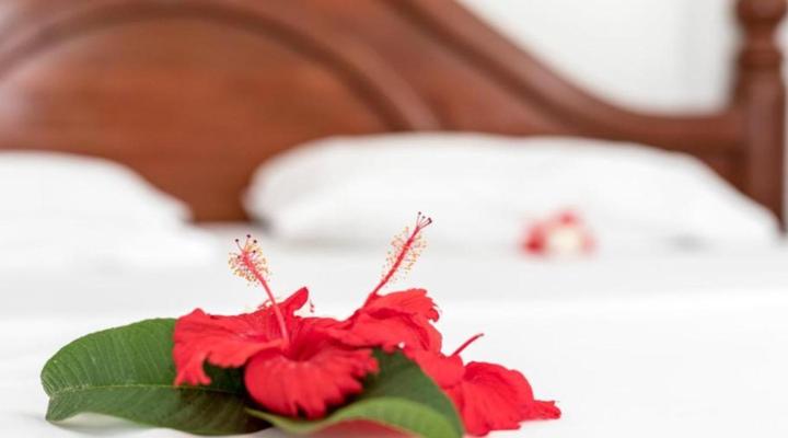 KiteActive Guesthouse