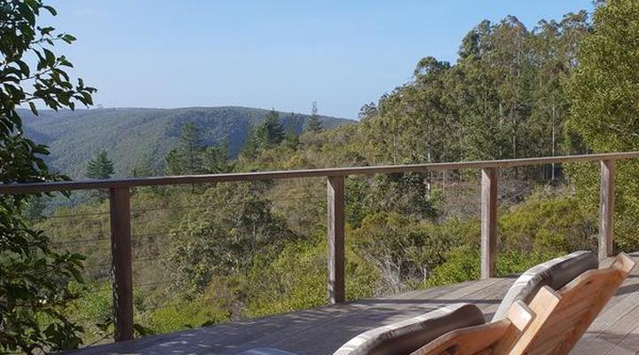 Tamodi Lodge and Stables