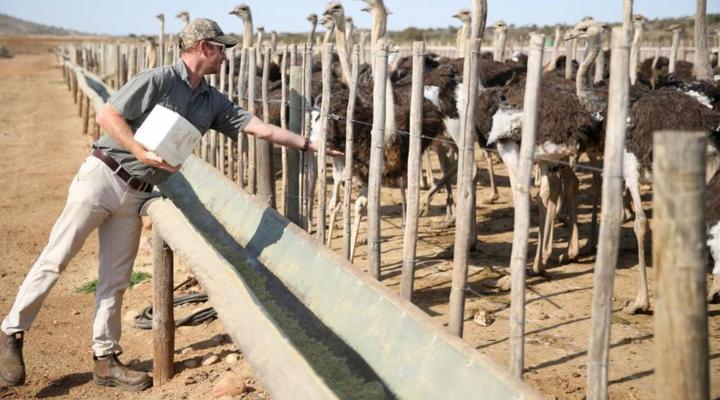 De Opstal Country Lodge