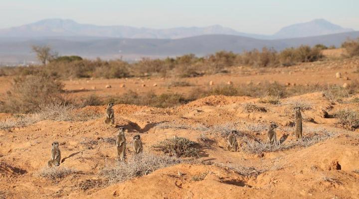 De Opstal Country Lodge