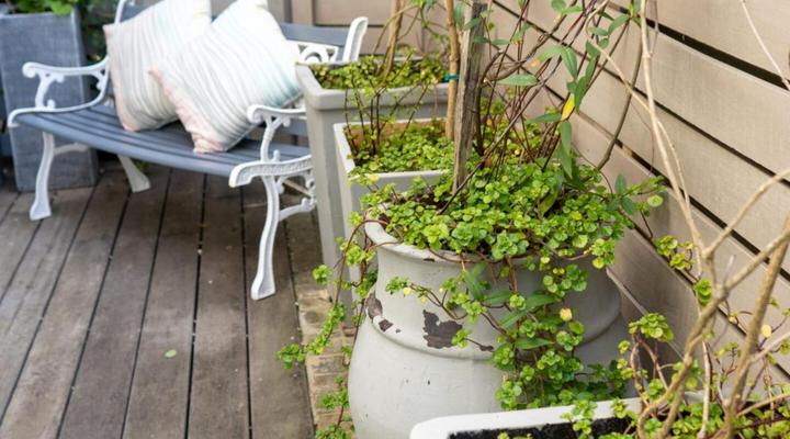 Dolphin Villa Self Catering