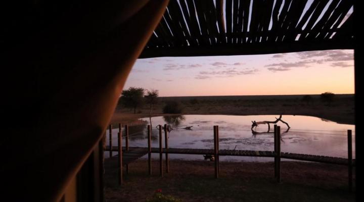 Rhino Ridge Kalahari Game Reserve