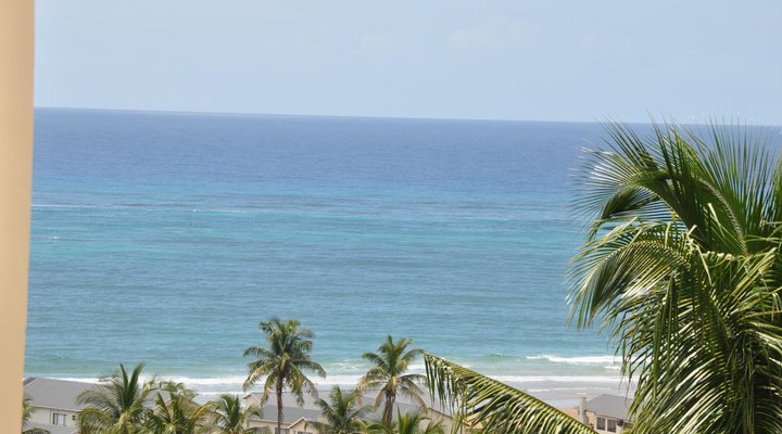 Barra Palms