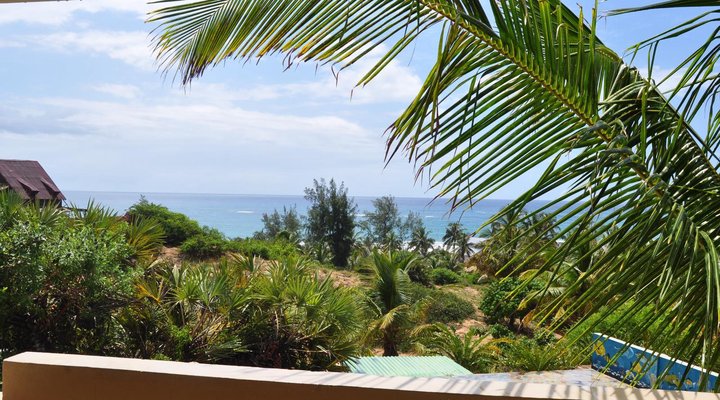 Barra Palms