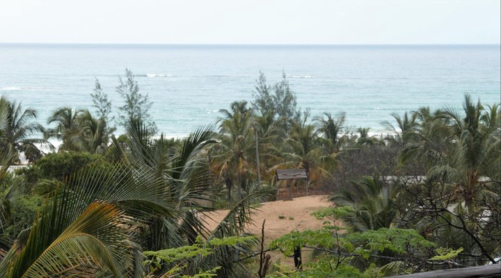 Barra Palms