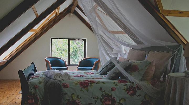 Peace of Eden ~ Vegan Forest Escape