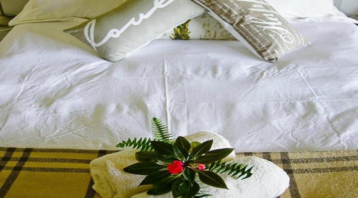 Peace of Eden ~ Vegan Forest Escape