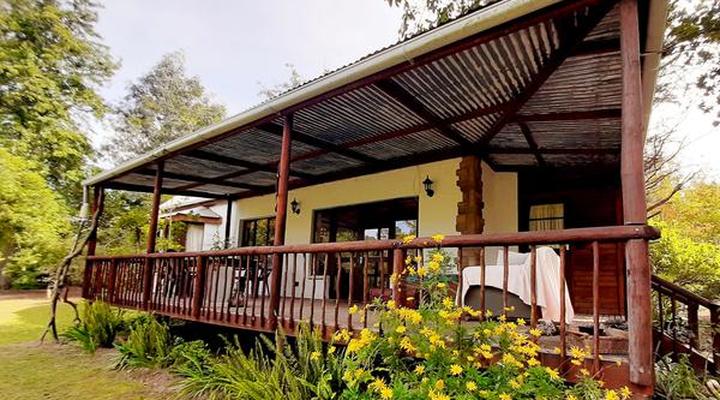 Peace of Eden ~ Vegan Forest Escape