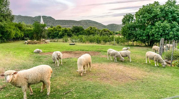 Schoemanshoek Glamping