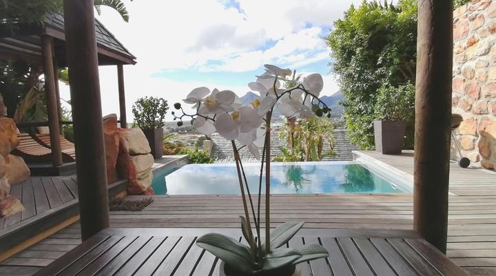 African Violet Guest Suites