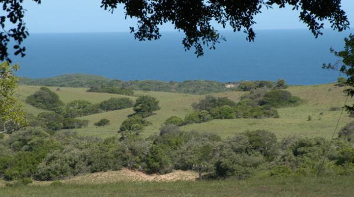 Oribi Haven Cottages