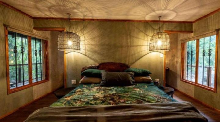 Matumi Trail Forest Lodge