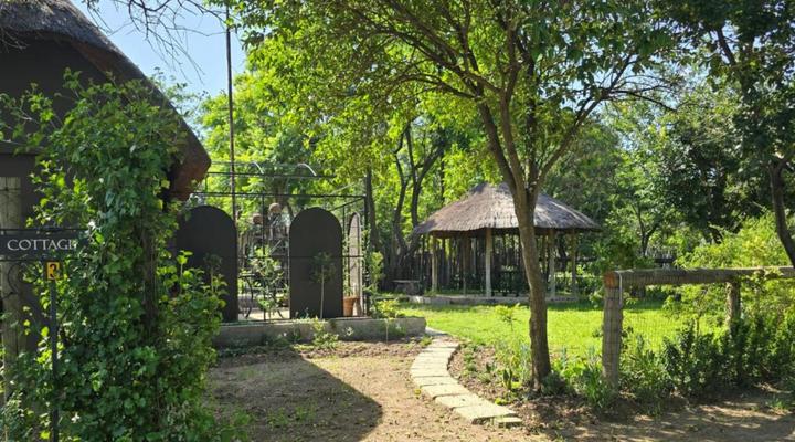 The House On The Hill