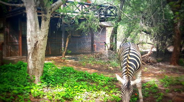 Phumula Kruger Lodge and Safaris