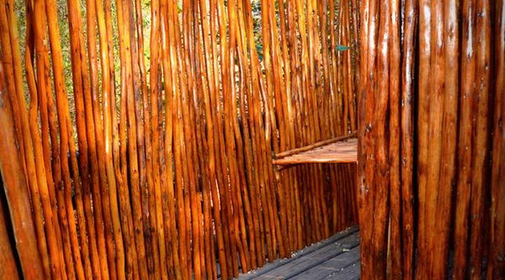 Phumula Kruger Lodge and Safaris