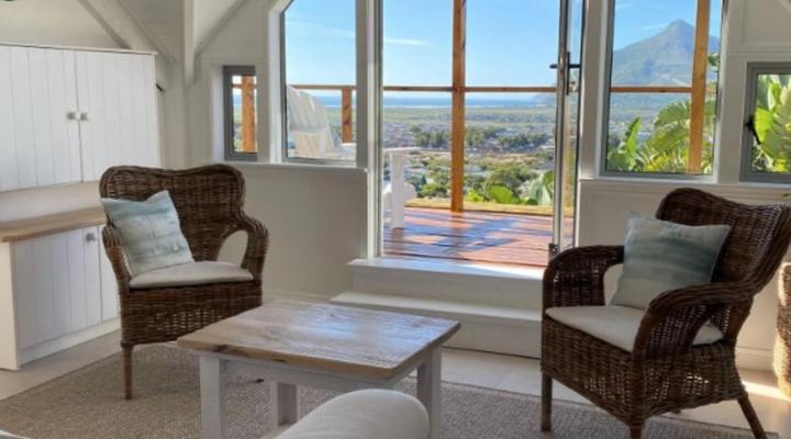 African Violet - Loft Living