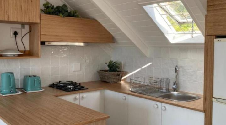 African Violet - Loft Living