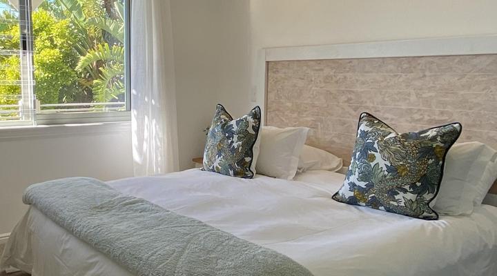 African Violet - Loft Living