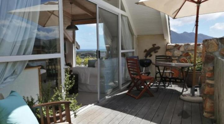 African Violet - Loft Living